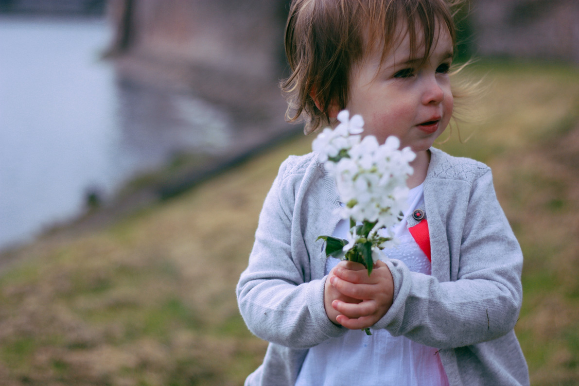 flower-1-6